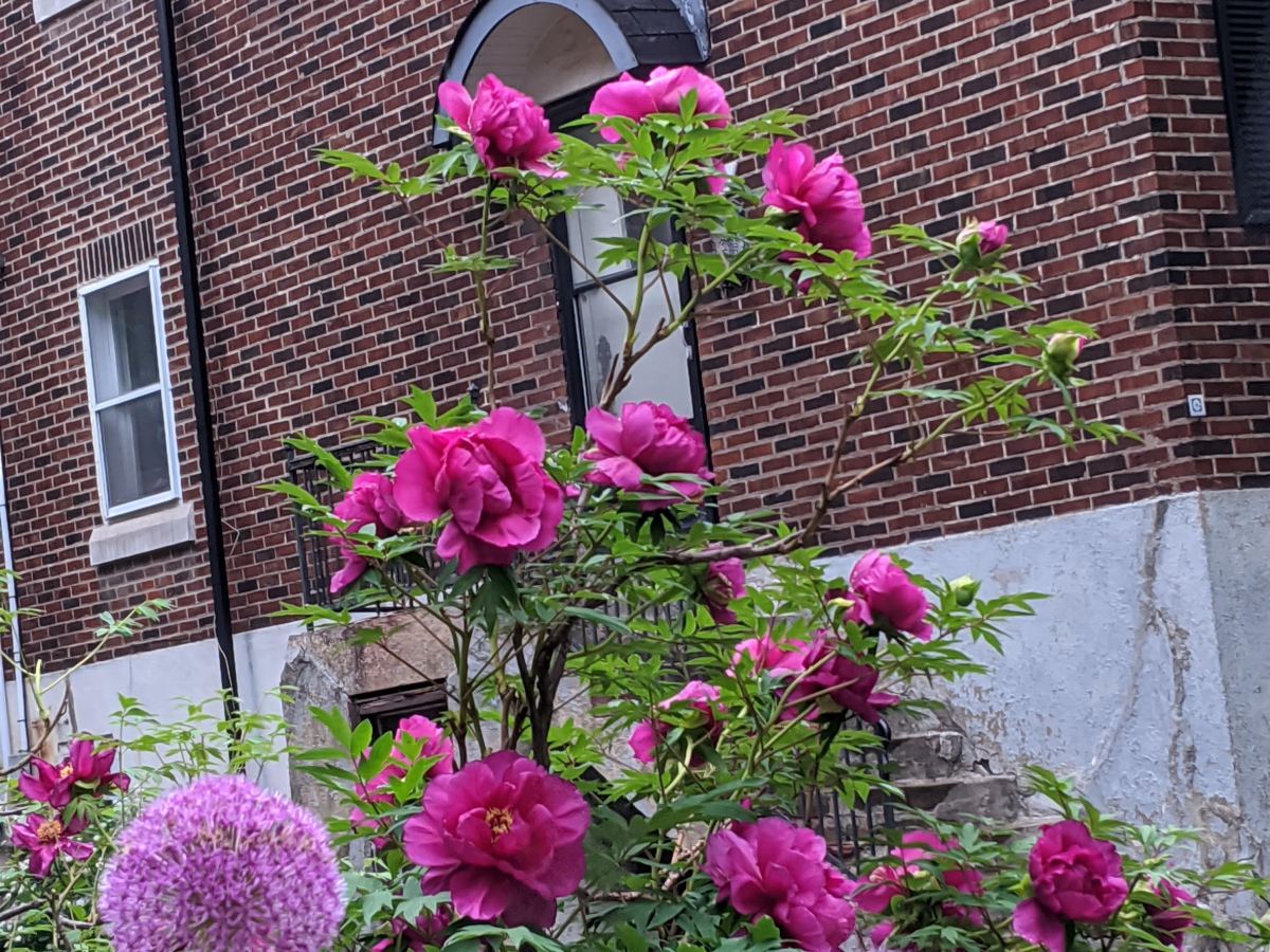 De la sincérité des actes&nbsp;[VIDÉO]