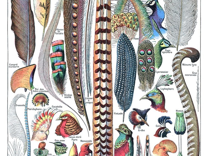 Consolider sa foi : Entre forces et&nbsp;faiblesses